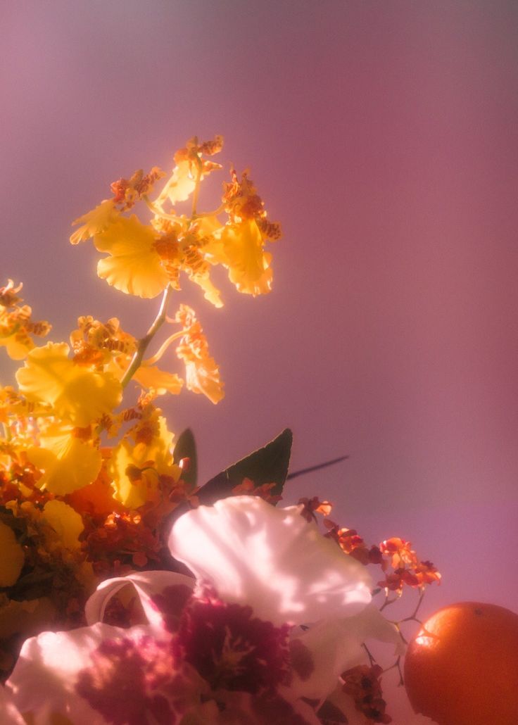 Flower Delivery Across Westchester County: A Local Florist's Coverage Map