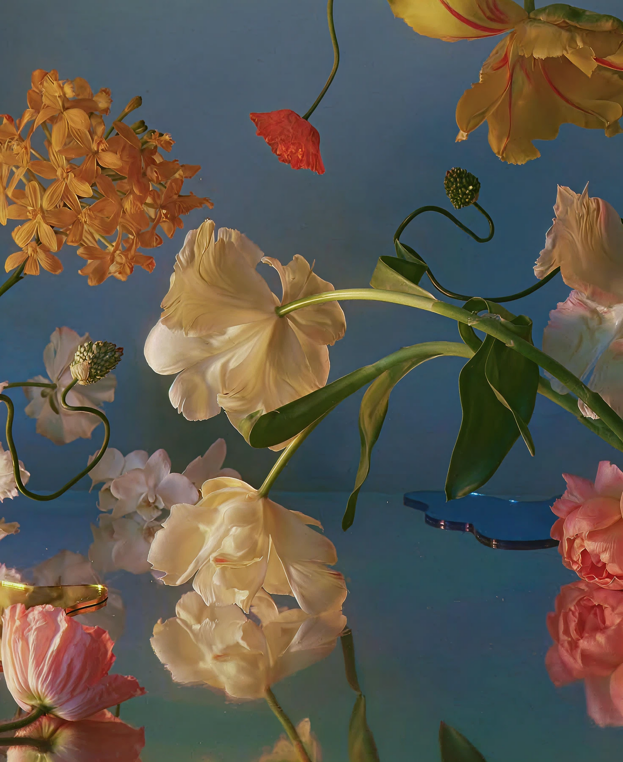 Dramatic floral composition featuring tulips