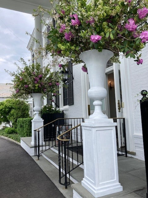 Pedestal urn planted for a Greenwich entrance in summer