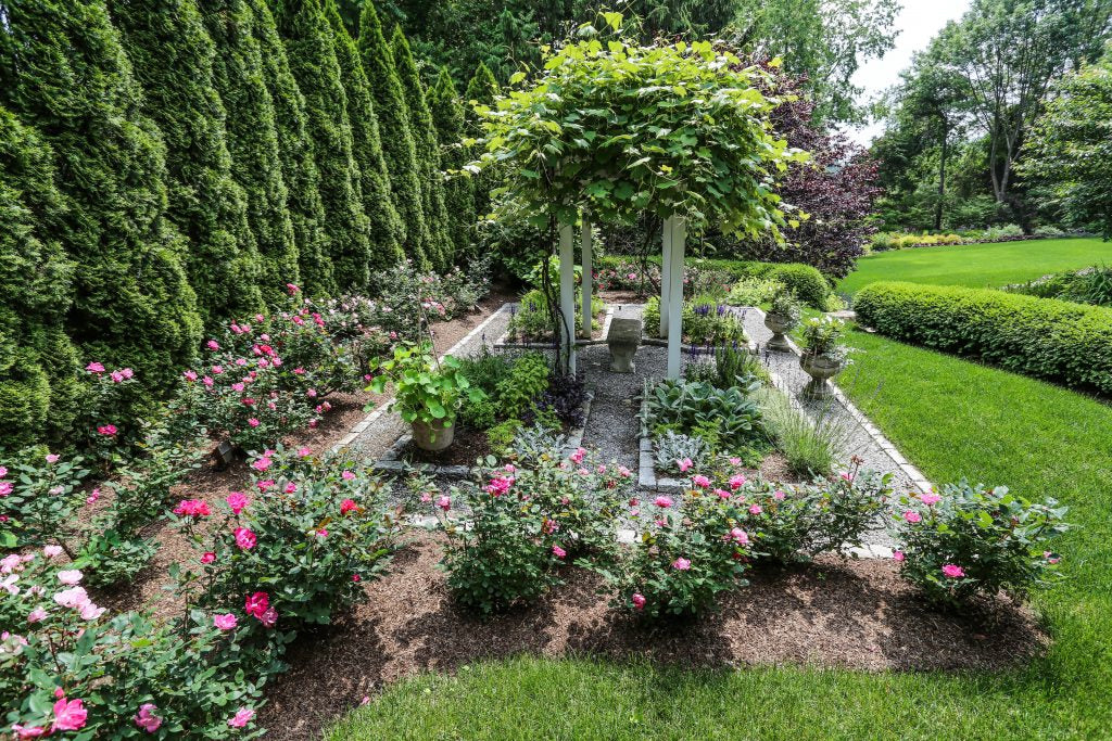 Formal rose garden with pergola