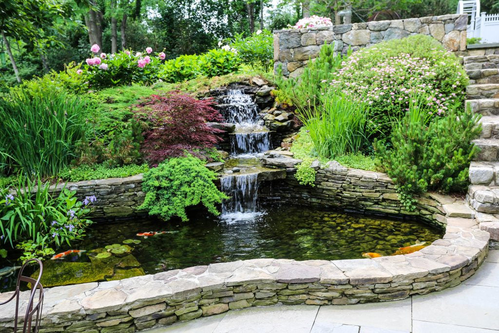 Koi pond with waterfall and surrounding plantings — representative of full water feature landscape