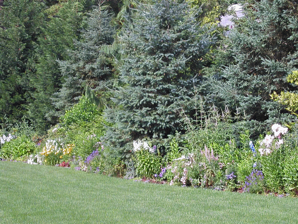 Mixed perennial border planted by Perennial Gardens on a Westchester property