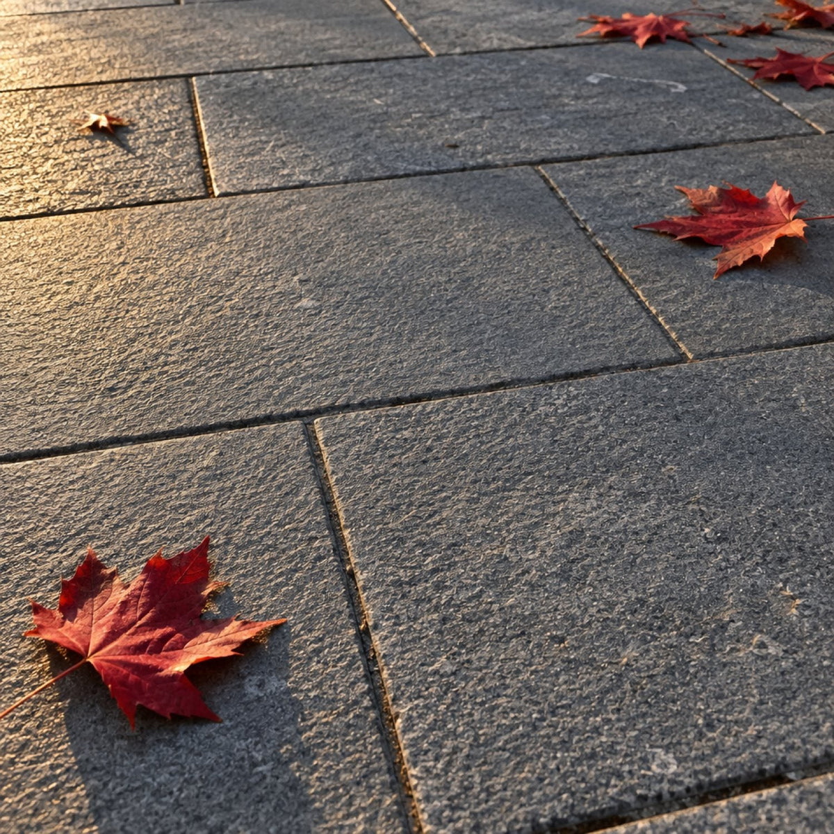 Bluestone paving with natural blue-gray and brown variation