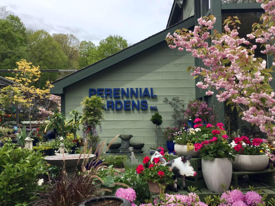 Perennial Gardens store front with various plants and flowers in front