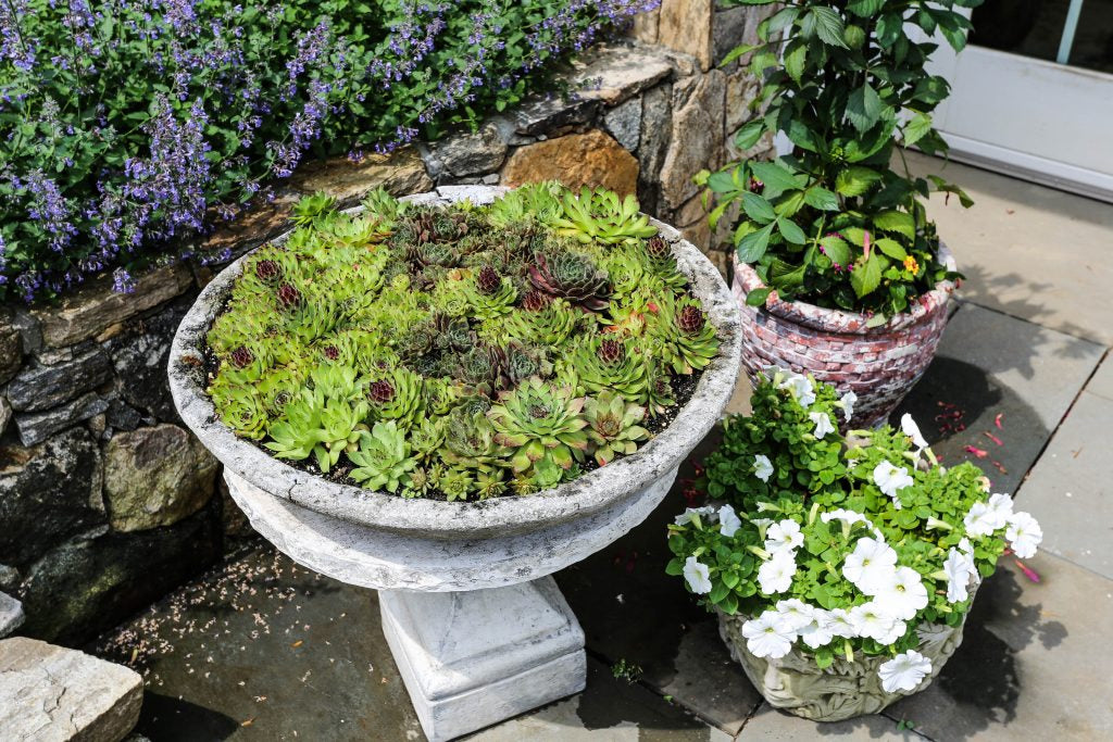 Perennial Gardens Bedford New York 26