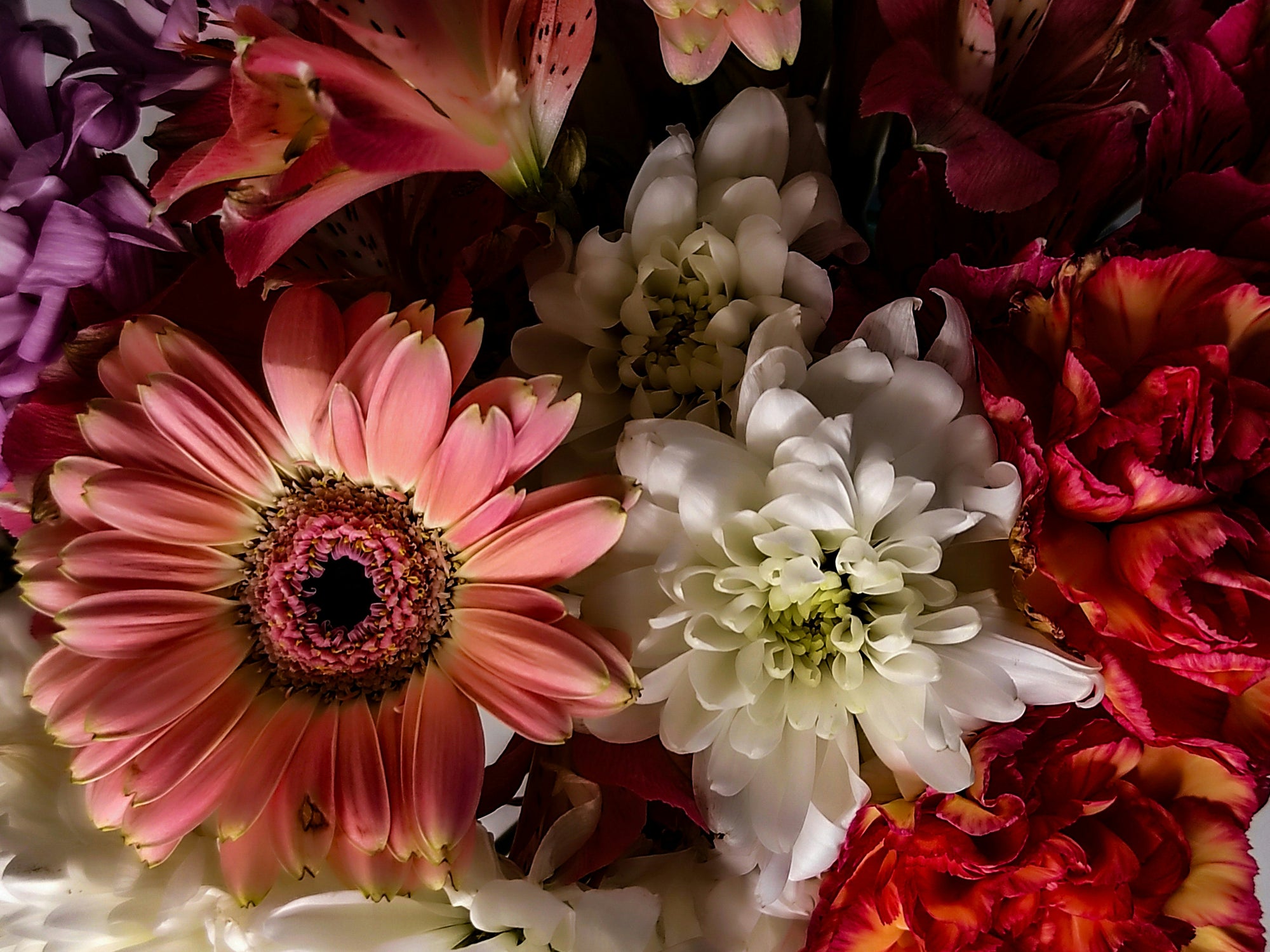 Daniela eckert aX2Y0BhR1eo unsplash