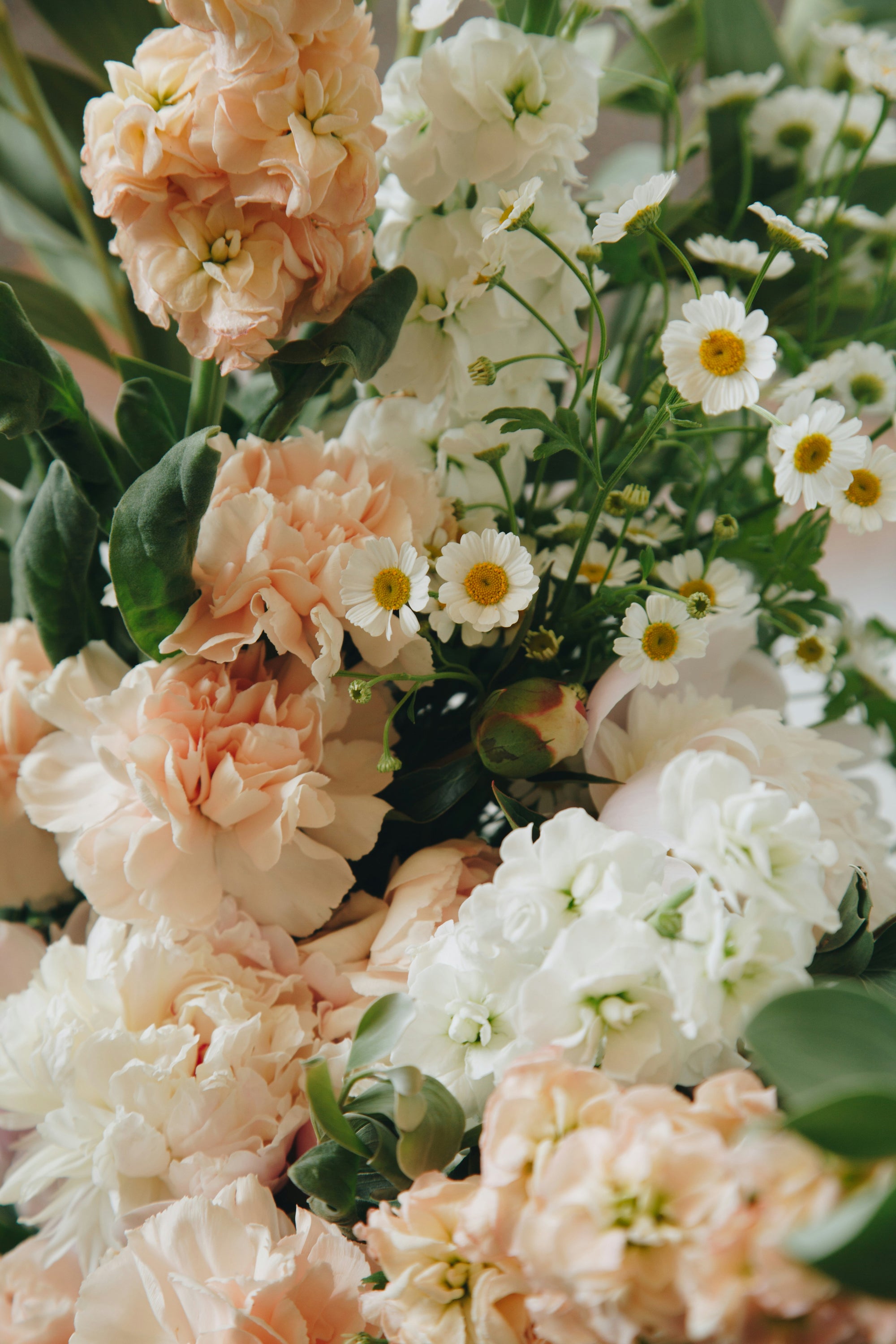 Rebecca Ko6XKSsO4w8 unsplash